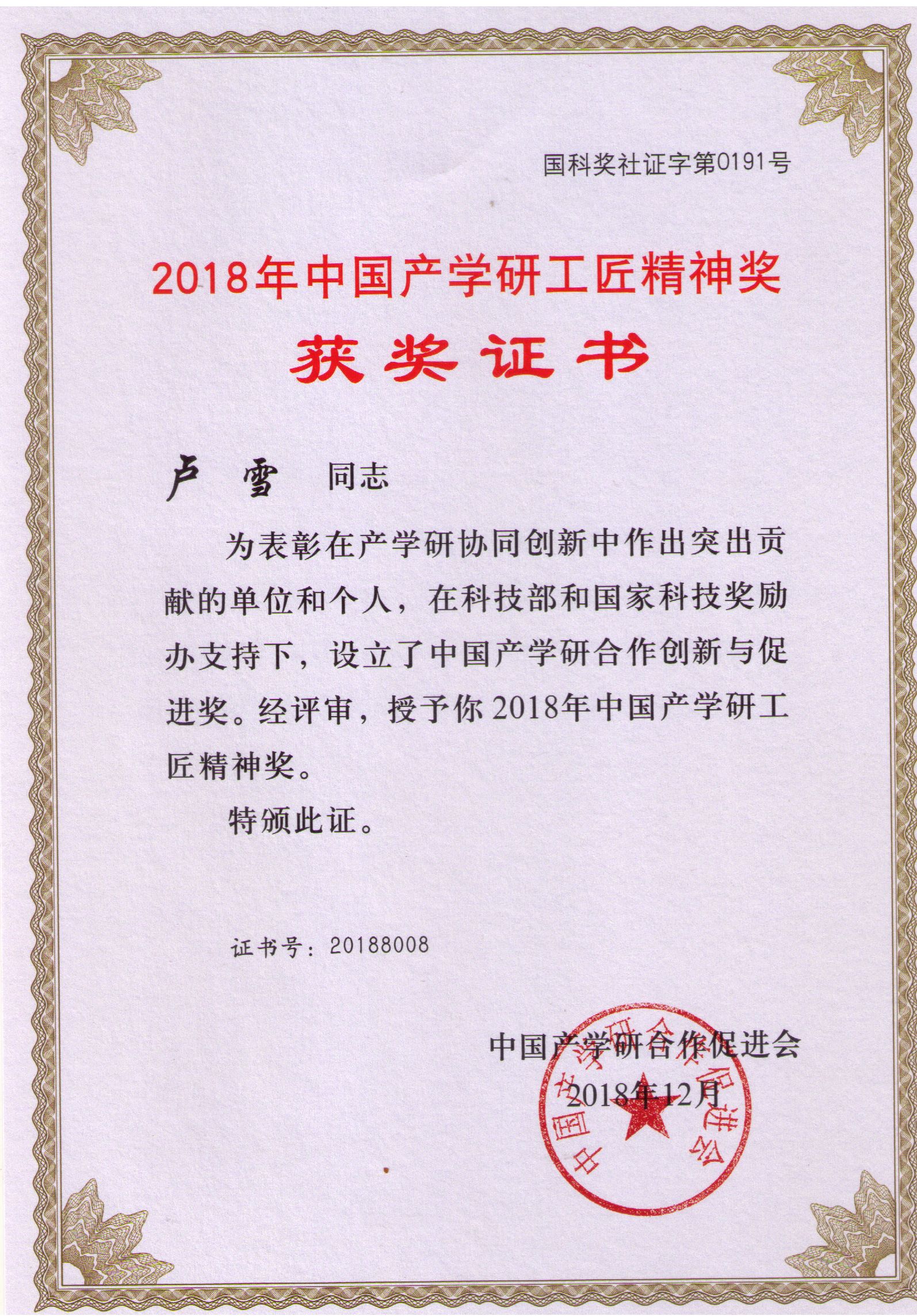 2018年度中国产学研精神奖