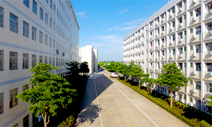 经贸系教学楼