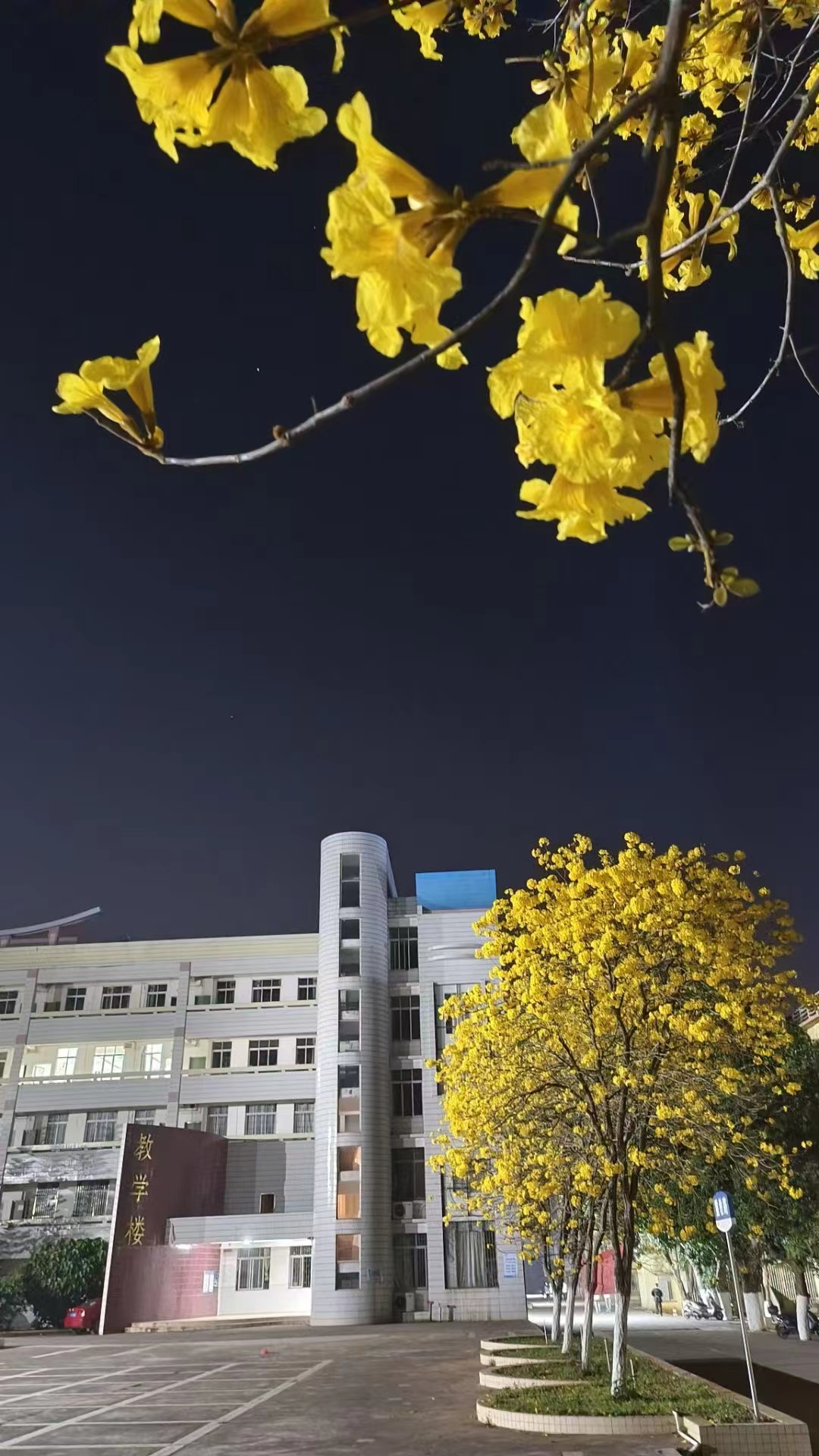 教学楼