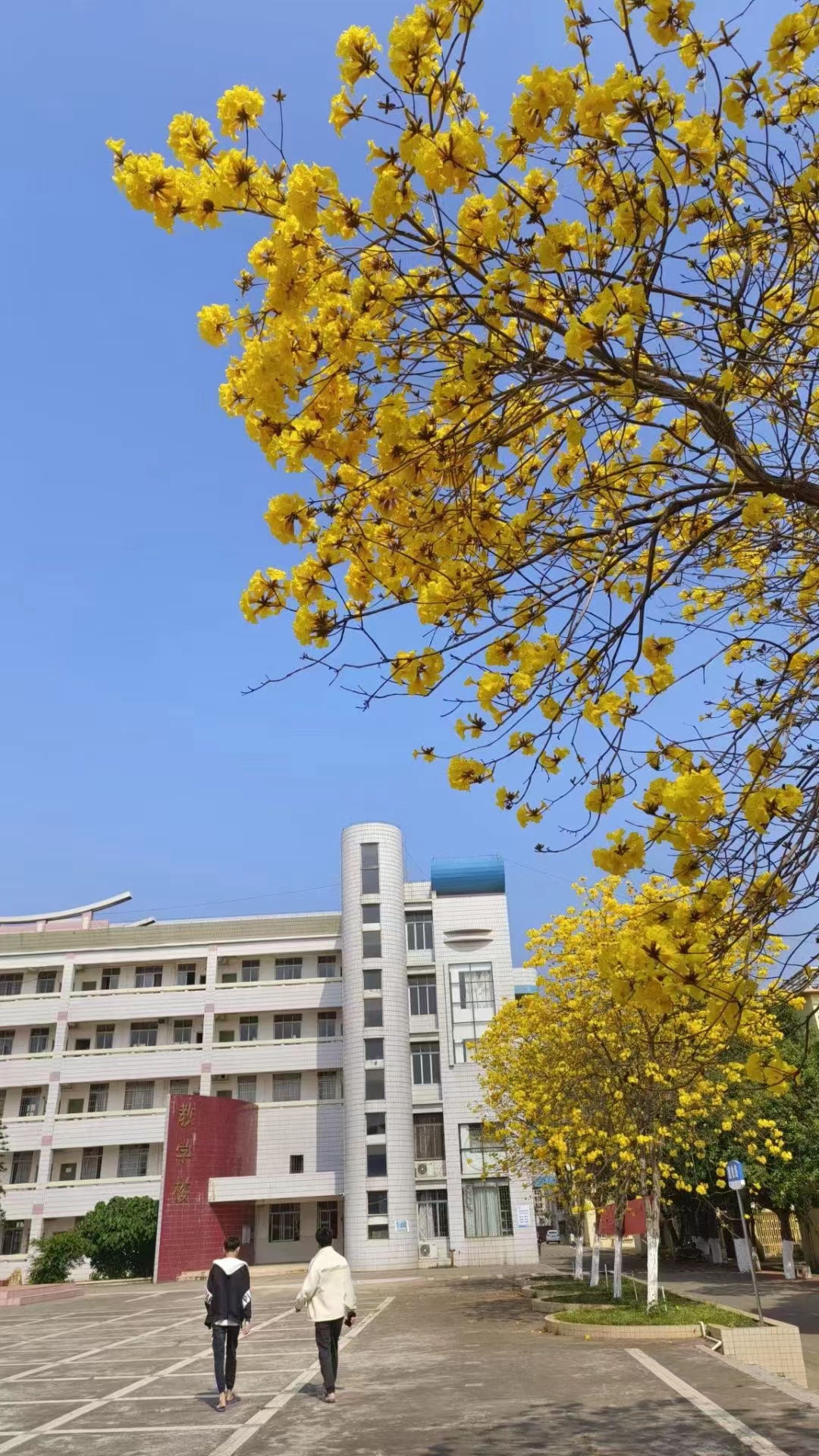教学楼