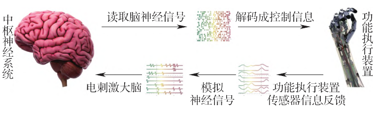 科研论文植入式脑机接口技术的医疗器械之路 企业官网