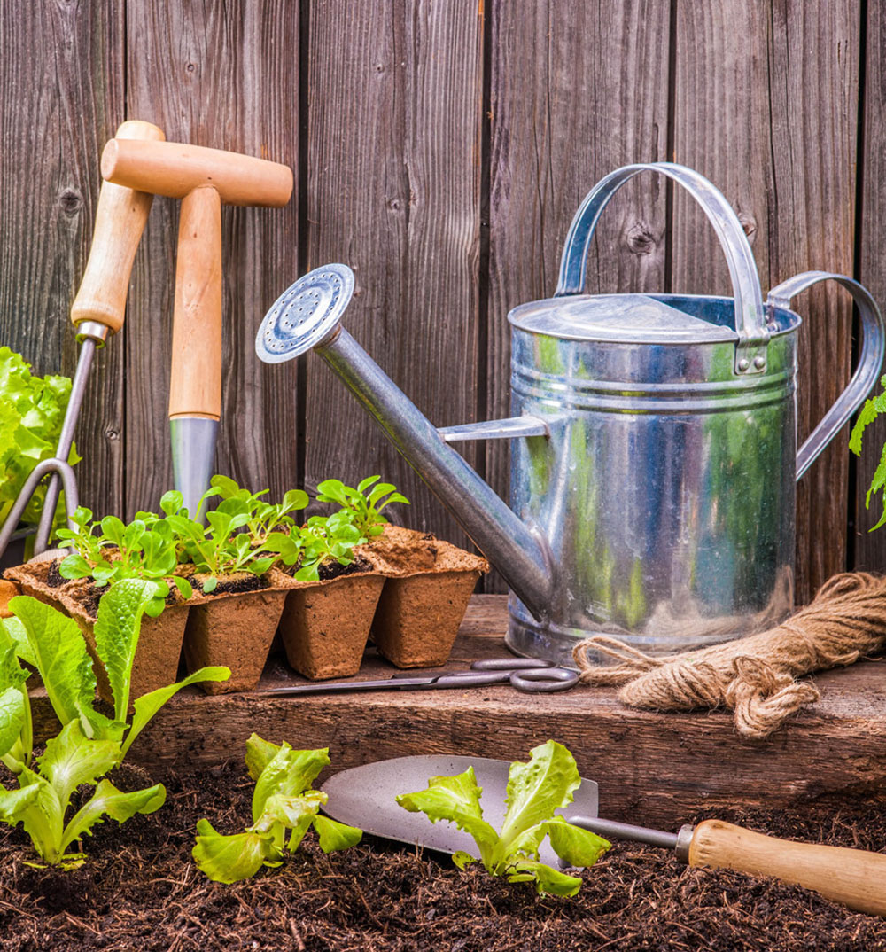 GARDENING