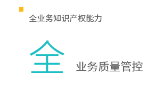 从绘图、翻译、撰写、送件、答辩、领证、维护等，绝大多数业务自行处理，内部运作顺畅、高效，案件质量可管可控