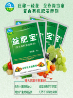 益肥宝创意4
