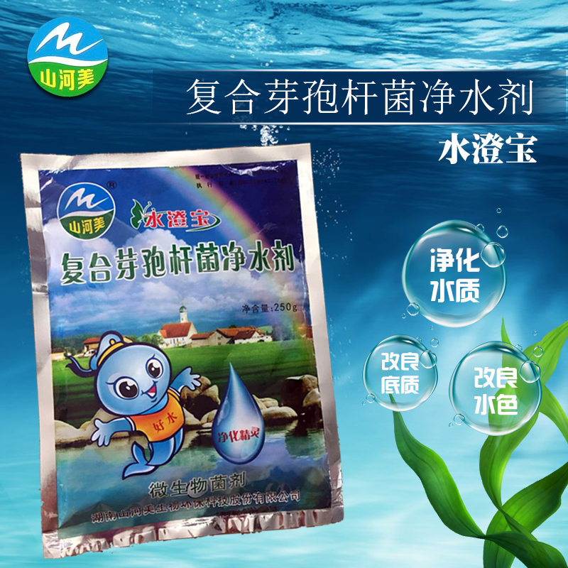 水澄宝主图3