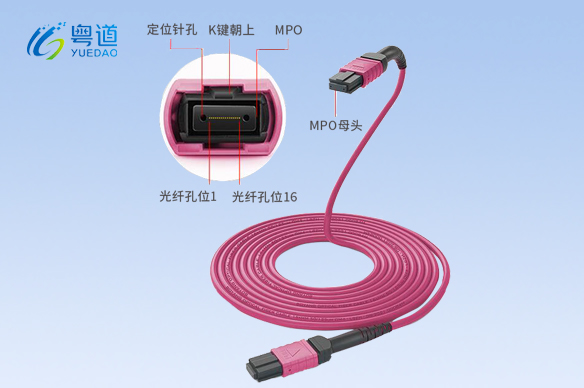 24芯MPO-MPO光纤跳线
