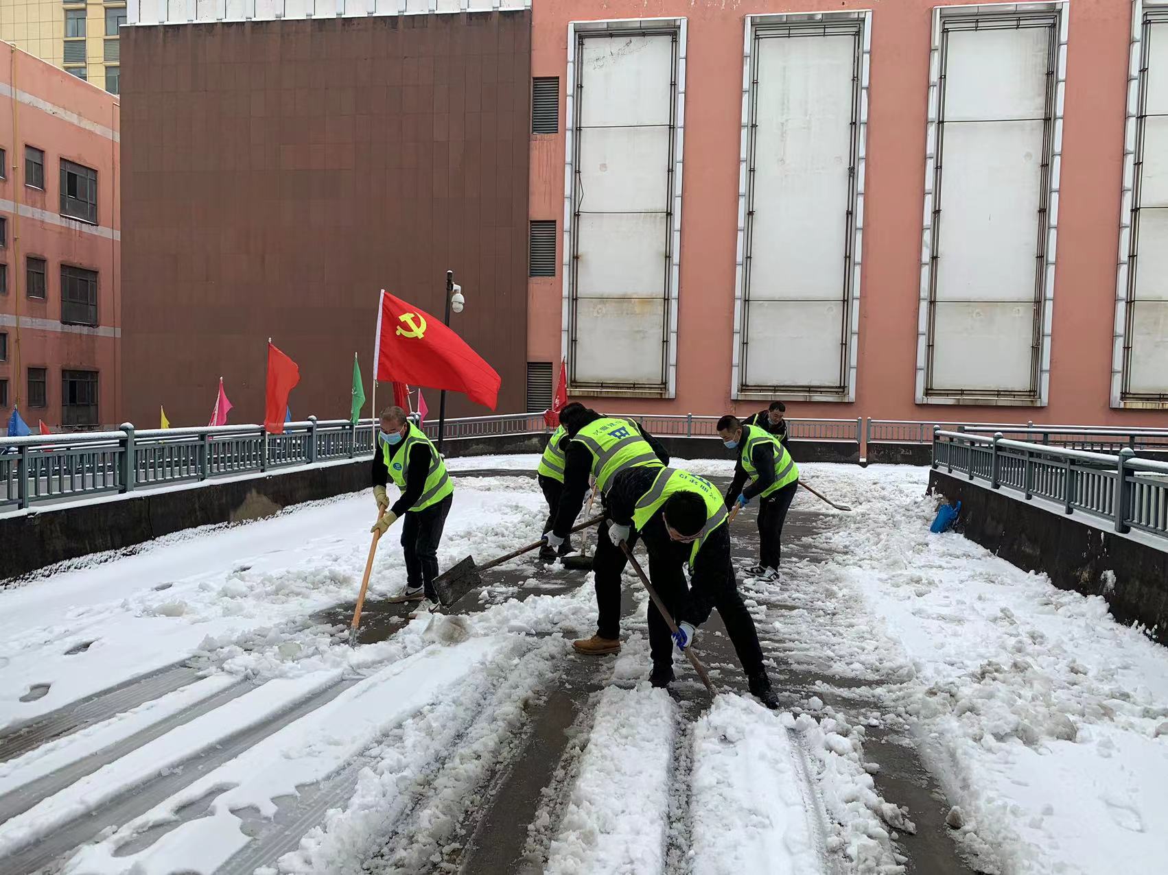 公司党支部组织开展清雪除冰活动