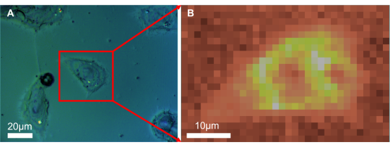 C:\Users\92538\Desktop\AAA.pngAAA