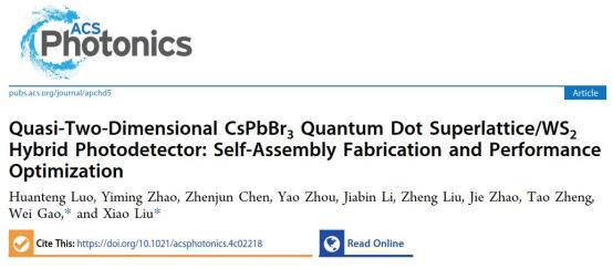 WS2混合光电探测器:自组装制备与性能优化