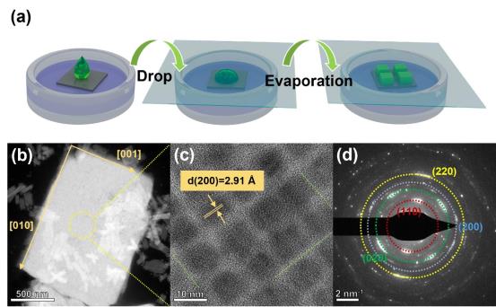 WS2混合光电探测器:自组装制备与性能优化1
