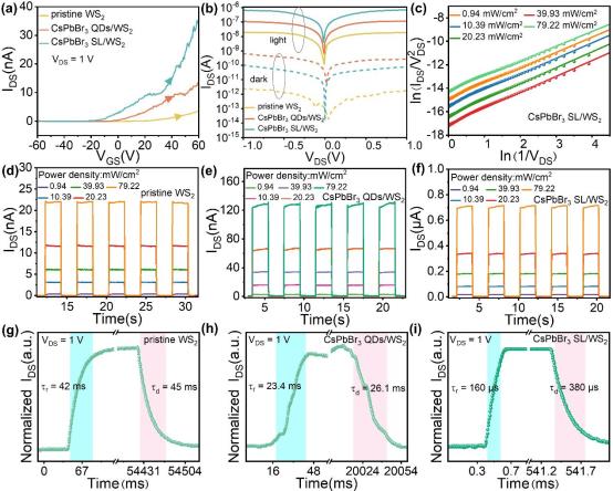 WS2混合光电探测器:自组装制备与性能优化3