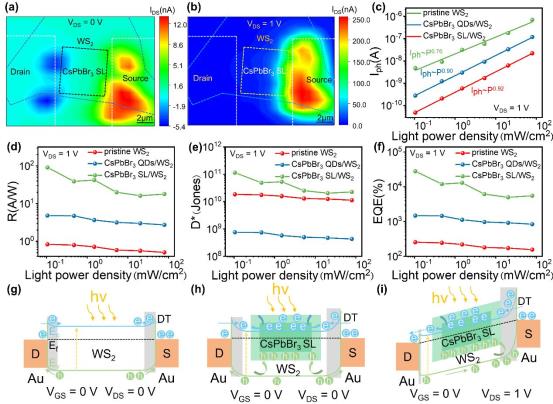WS2混合光电探测器:自组装制备与性能优化4