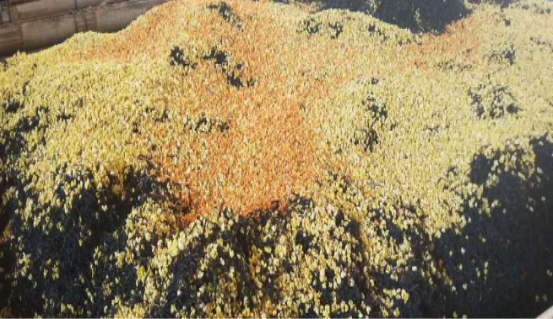 c45075cc-8606-47ad-b2bf-09d4d27f6e6f