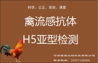 禽类检测-禽流感抗体H5检测