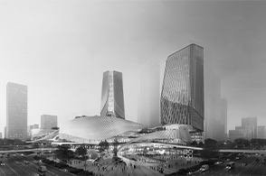 上海临港元心