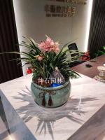 蘭花