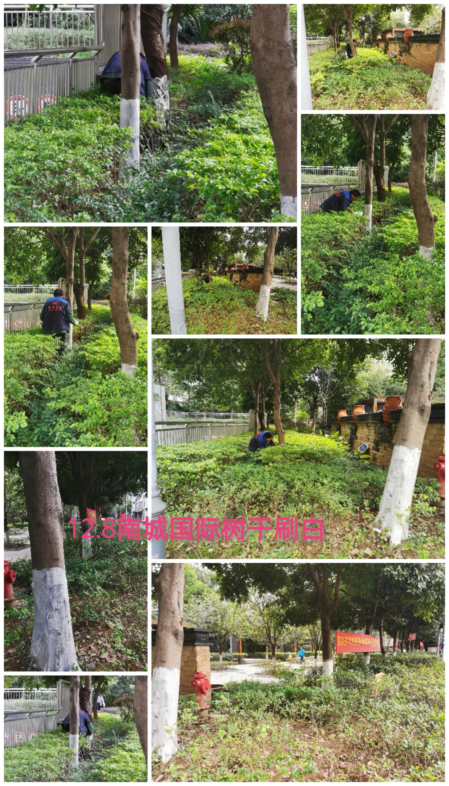 绿化管理1