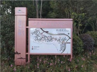 未標題-4