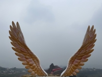 微信圖片_20240313141650