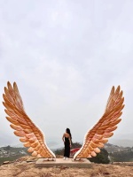 微信圖片_20240313141900