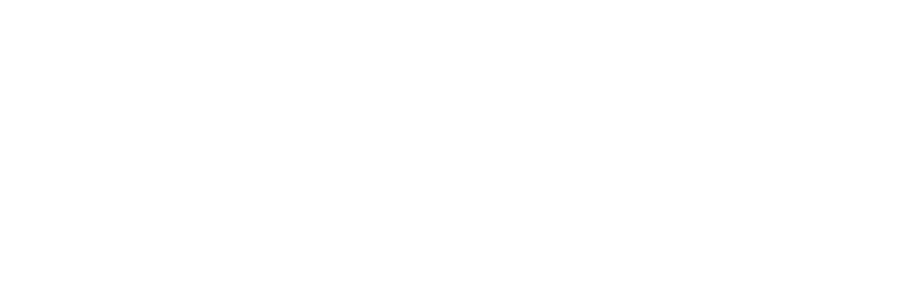 白色logo