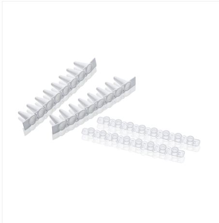 0.1ml-PCR-2