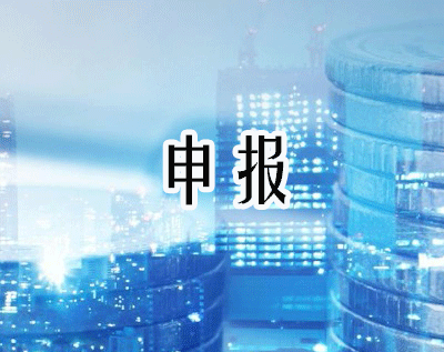 纳税申报