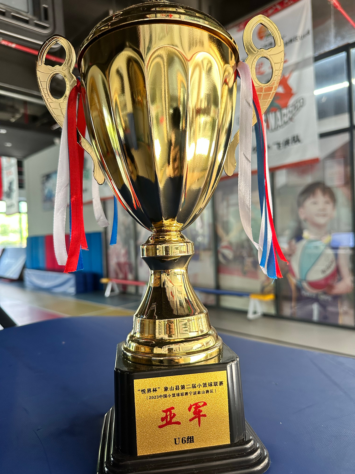 2021浙江省小篮球联赛U10男子组第一名 