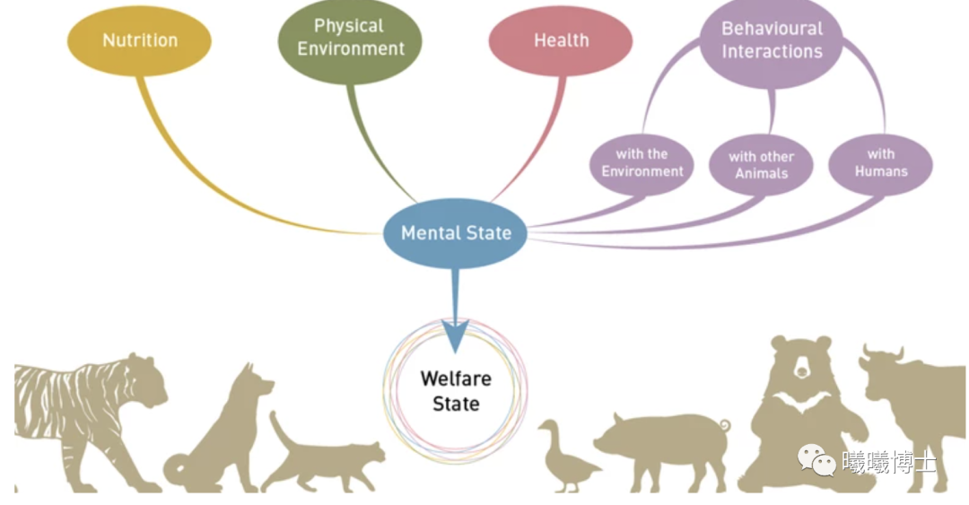 动物福利学的来龙去脉 一五域模型是什么 企业官网
