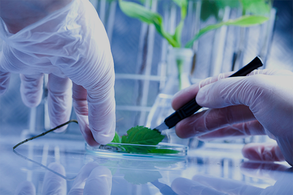 农药的技术推广