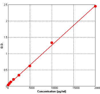 BEK1194