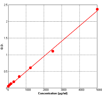 BEK1196