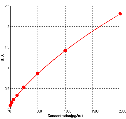 BEK1281