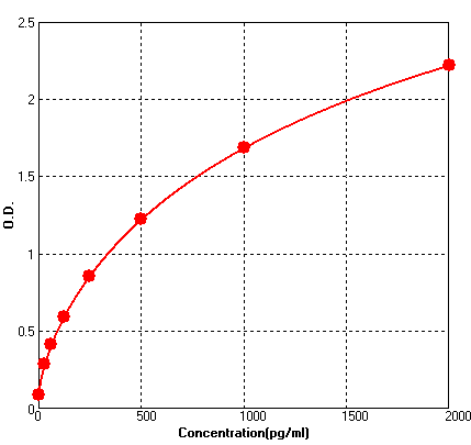 BEK1306