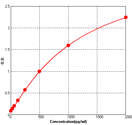 BEK1169