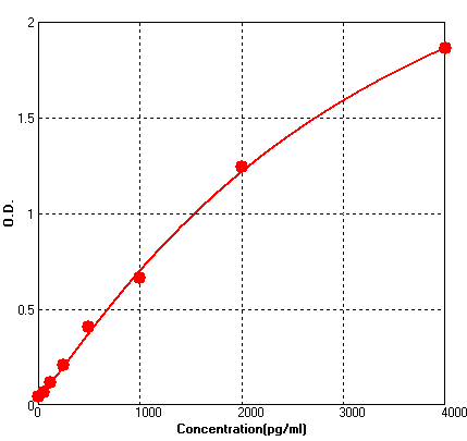 BEK1206