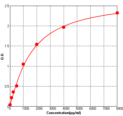 BEK1251