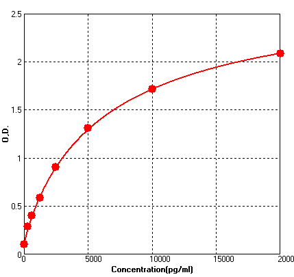 BEK1261