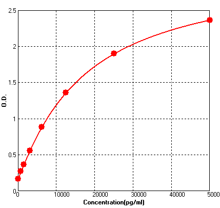 BEK1288