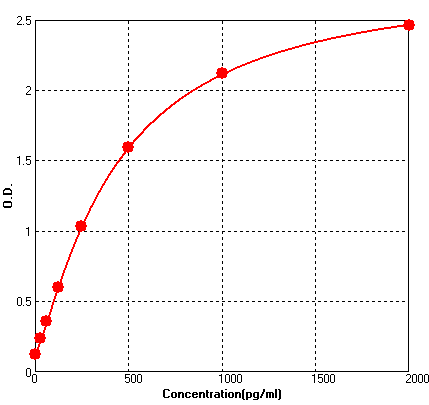 BEK1289