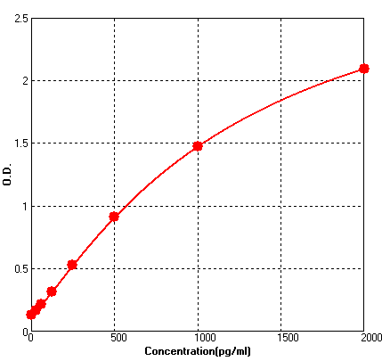 BEK1294