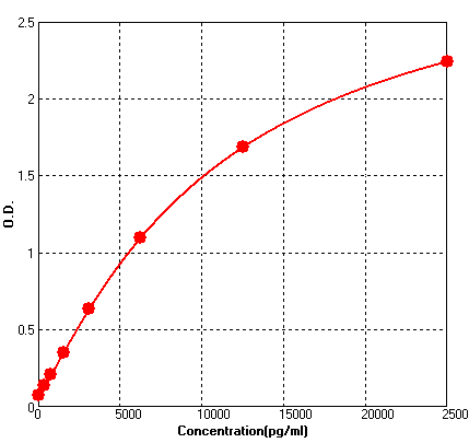 BEK1296