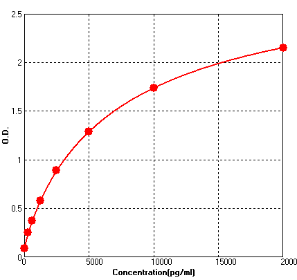 BEK1297