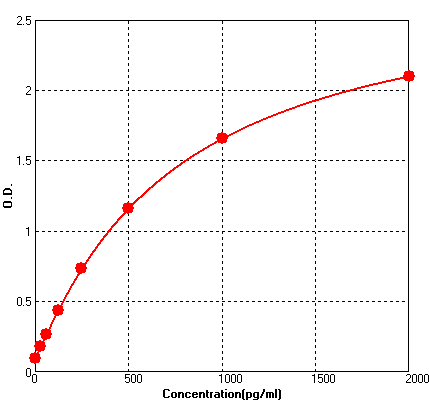 BEK1303