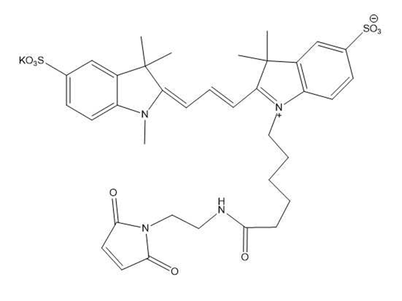 Cy3马来酰亚胺