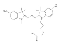 Sulfo-Cy3羧酸