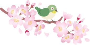 84b97a0b8ccf0505e5fffe2356895d8e33bfdb05