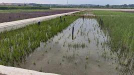 ce96c9ae7aebe033e0cac5ea63a03dca