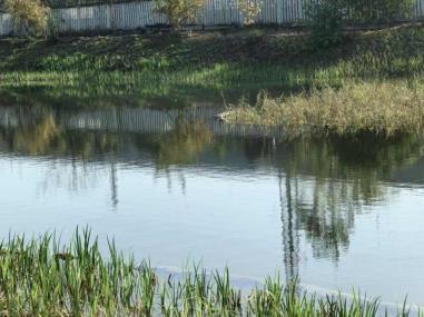 bafa2086278c6cb70246f6b67ba80f5c