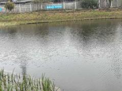 aafd2d1090317c67404fa9cf802f82ab